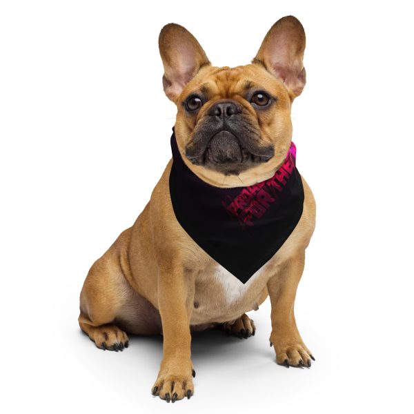 Bandana: ...The New Paradigm - Image 2