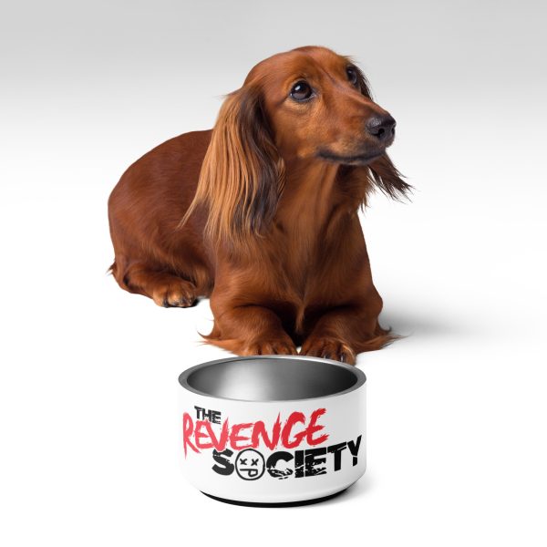 Pet bowl - Image 3