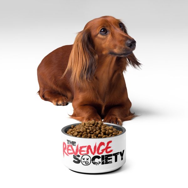 Pet bowl - Image 2