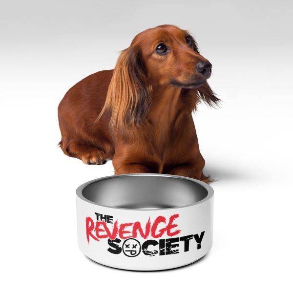 Pet bowl - Image 4