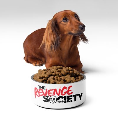 Pet bowl