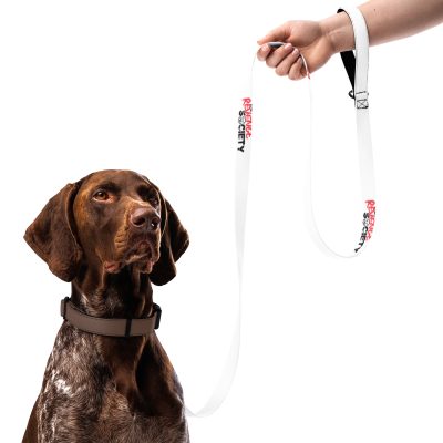 Pet leash